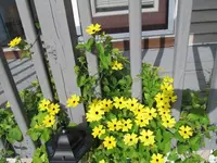 015.webp