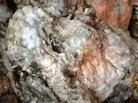 vein6.webp