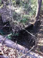 image-8398942.webp