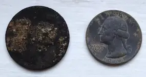 coin - size.webp