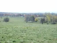 100_2389.webp