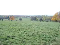100_2390.webp