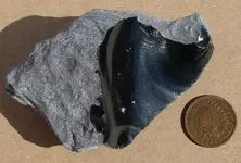 obsidianrind.webp