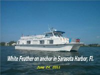 White Feather on Anchor in Sarasota, Florida.jpg