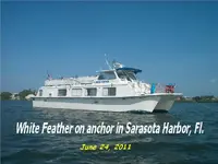 White Feather on Anchor in Sarasota, Florida.webp