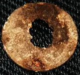 mystery-coin-back.webp