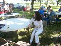 cnew 100.webp