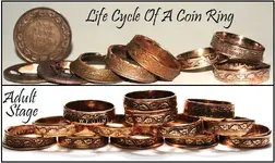 Coin rings 13.webp