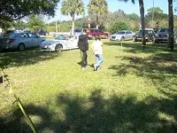 cnew 120.webp