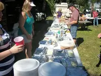 cnew 123.webp