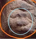 Rock face.webp