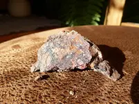 P1050306_2.webp