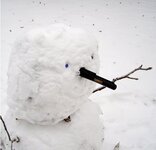pro pointer snowman.jpg