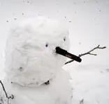 pro pointer snowman.webp