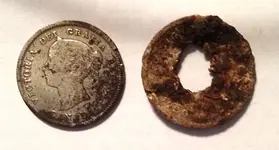mystery-coin-with-fishcale.webp