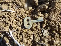 Metal Detecting 499.webp
