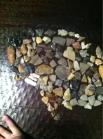 image-4004099687.webp