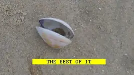 1118BEST.webp