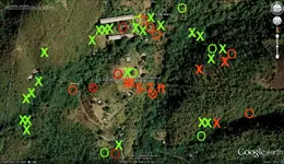 Finca Don Manuel-Capt.Betances.webp