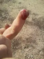 Cut 1.webp