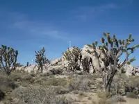 DSCN4783.webp