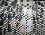 100_4082.webp