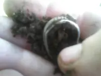 1104121115b.webp