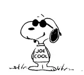 joecool.webp
