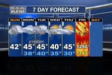 This Weeks Forcast.webp