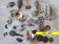 1111BAYNUT.webp