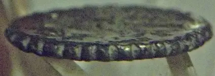 side shot of 106 BC coin.webp