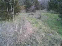 pic3.webp