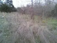 pic2.webp