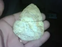 !cid__IMG00319-20100731-1055.webp