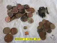 1210NUT.webp
