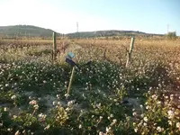 1-10 Diciembre 2012 027.webp