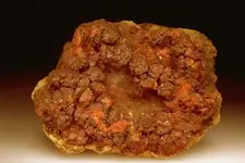 Cinnabar2 (1).webp