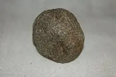Cones and Loafstones (5).webp Cones and Loafstones (5).webp