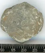 Lead Seal087.webp