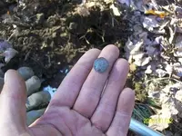 NOV 17TH 2 HUNTS UNIQUE HALF DIME 006.webp