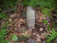 DSCN1172.webp