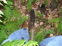 DSCN1174.webp