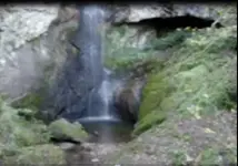 pic.1.webp