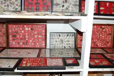Pictures009.webp