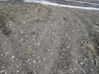 IMG_3025.webp