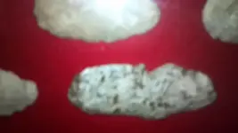 Resampled_2012-11-27_08-50-48_3101.webp