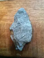 image-1664727962.webp