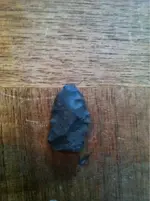 image-2205999851.webp