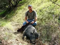 pig13.webp