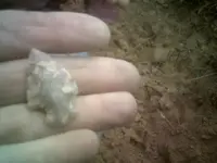 DSCF0014.webp